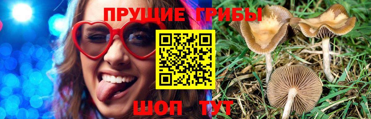 Галлюциногенные грибы GOLDEN TEACHER  Вход с VPN  Псилоцибиновые грибы Magic Shrooms  Южноуральск 