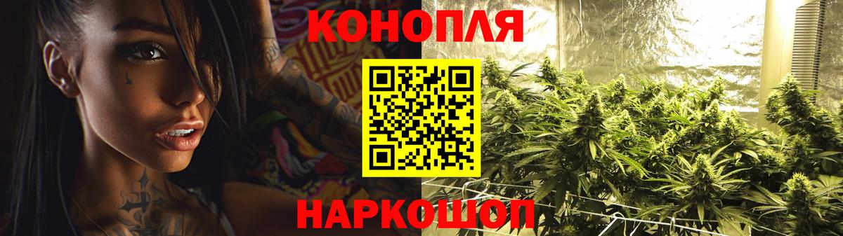 Бошки Шишки семена Южноуральск